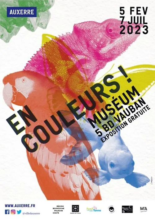 Exposition En Couleurs Museum Auxerre 5fev 7juillet2023.webp