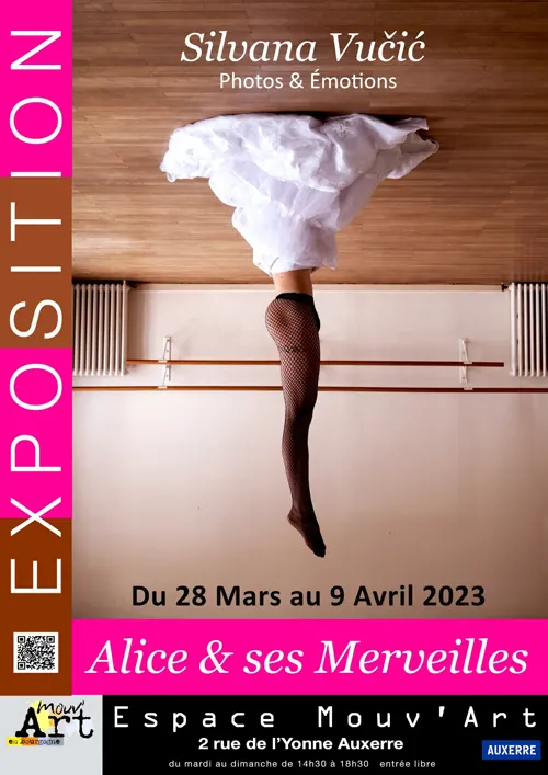 Exposition Silvana Vucic MouvArt Auxerre28avril 9mars2023.webp