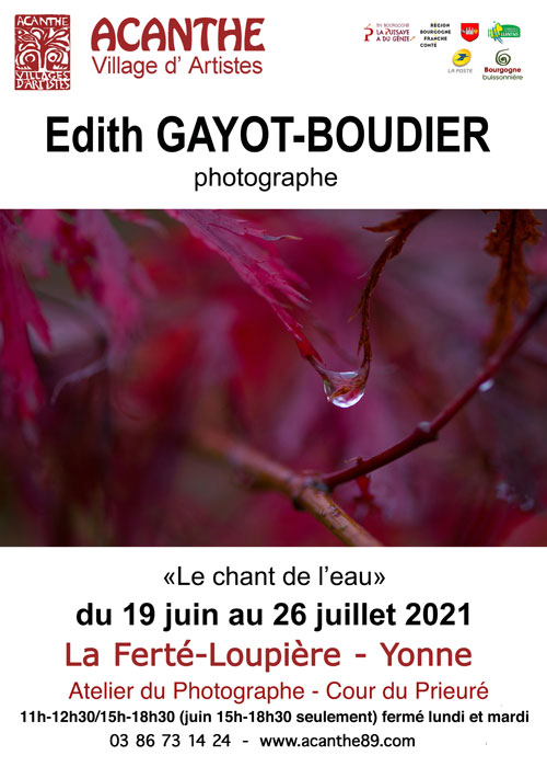 Exposition photos Edith Gayot Boudier Acanthe La Ferte Loupiere juin juillet 2021.jpg