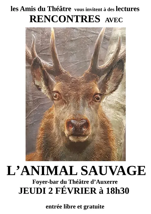 Lectures Rencontres L Animal Sauvage Theatre Auxerre 02 02 2023.webp