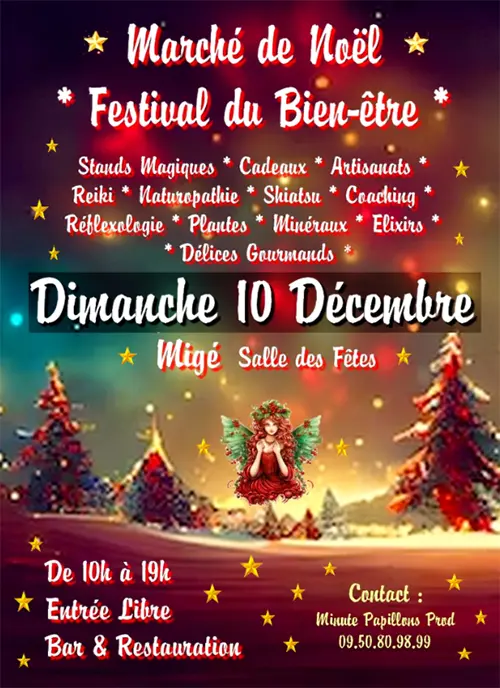 Marche de Noel Festival du Bien etre Mige 10 12 2023.webp