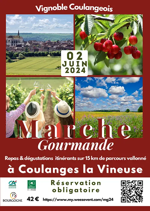 Marche gourmande en vignoble coulangeois 02 06 2024.webp