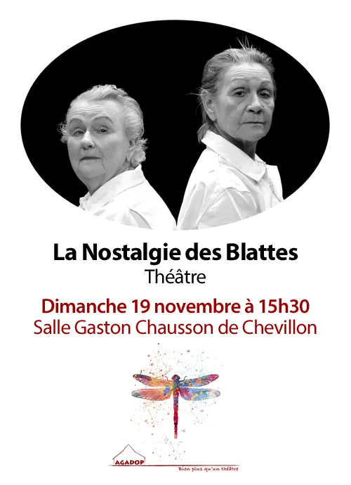 Theatre La Nostalgie des blattes Agadop Chevillon 19 11 2023.webp