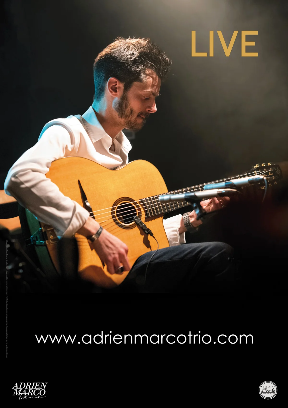 Concert avec Adrien MarcoTrio / Swing - Jazz Manouche – Vézelay (Jardins du Musée) (affiche de l’événement)