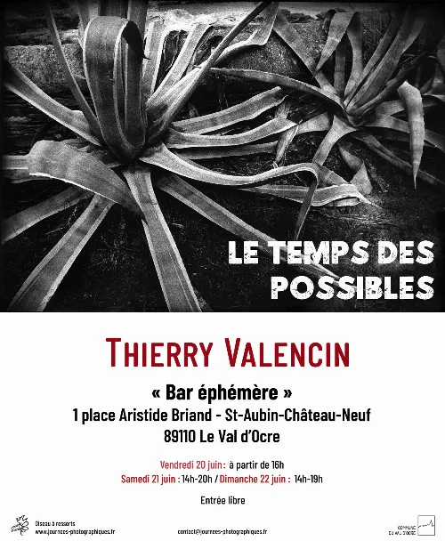 Expo Thierry Valencin St Aubin Chateau Neuf 20 au 22 juin 2025.webp