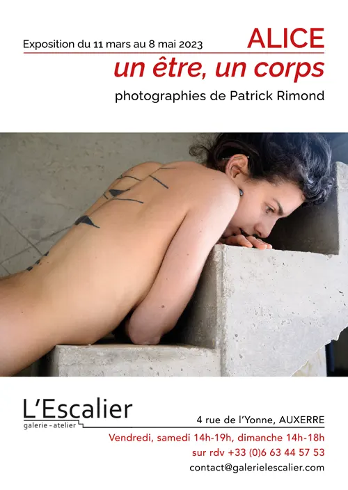 Exposition Alice un etre un corps Patrick Rimond Auxerre 11mars 8mai2023.webp