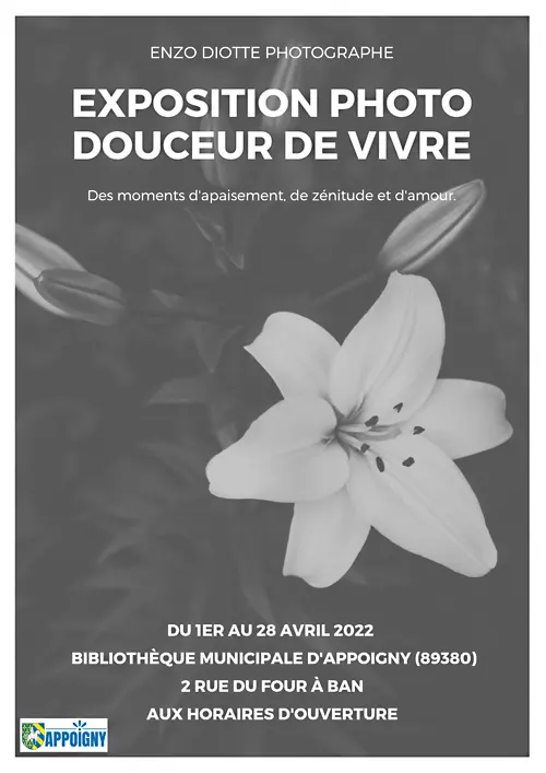 Exposition Photo Enzo Diotte Bibliotheque Appoigny Avril2022.webp