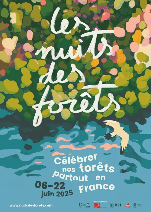 Les nuits des forets Deambulation Rousson 14 06 2025.webp