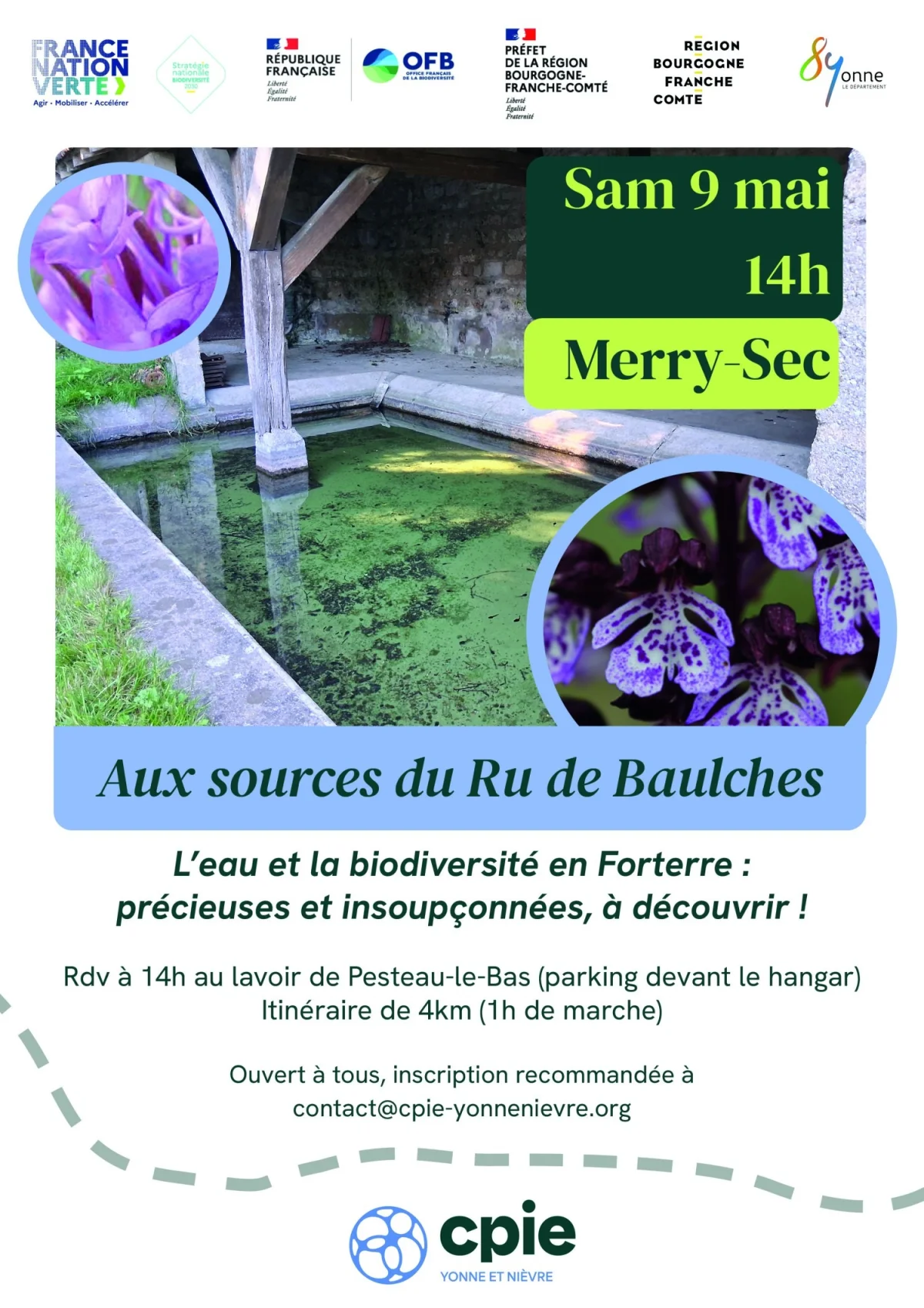 Aux sources du Ru de Baulches – Merry-Sec (Pesteau-le-Bas) (affiche de l’événement)