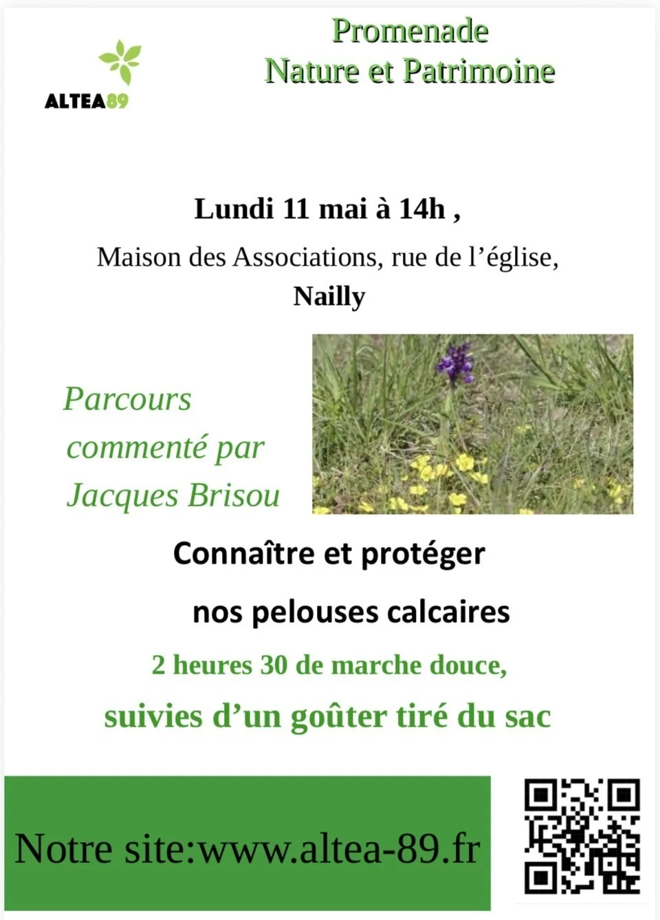Connaître et protéger les pelouses calcaires – Nailly (Maison des associations) (affiche de l’événement)