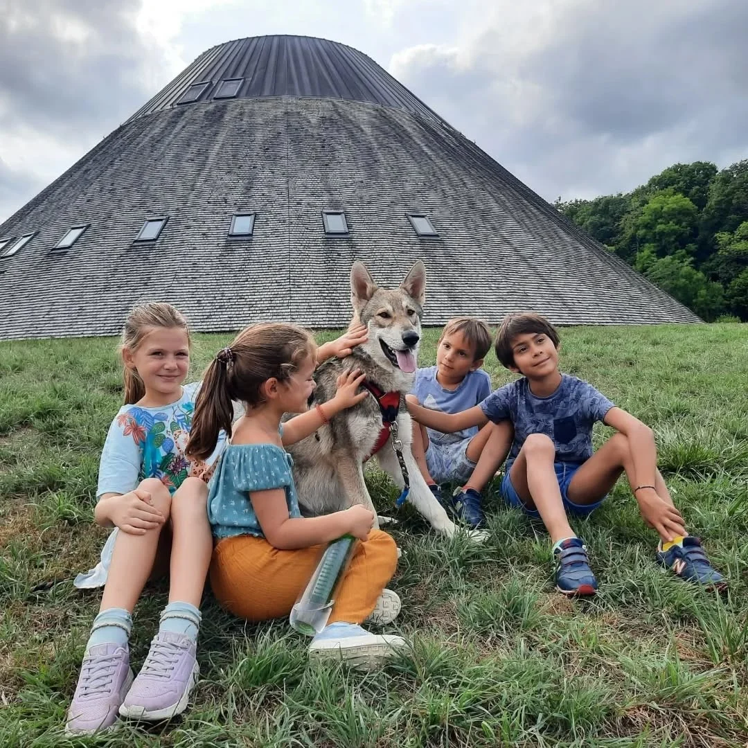 Escape Game pour toute la famille et chasse aux œufs – Toucy (Pyramide du Loup) (affiche de l’événement)