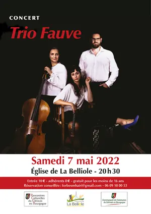 Concert de musique classique avec le Trio Fauve (violon, violoncelle, accordéon / suite n°1