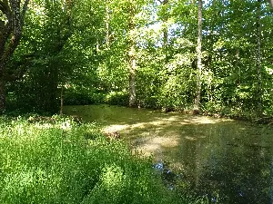 Découvrez la richesse des mares restaurées par la SHNA / Visite suivie d’un pique-nique (repas tiré du sac)