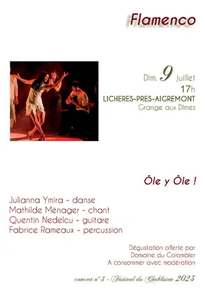 19me Festival du Chablisien : Spectacle-confrence Flamenco 