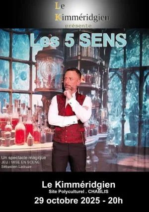 Spectacle de Magie 