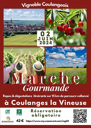 RESERVEZ AVANT LE 26 MAI // Marche gourmande en vignoble coulangeois le dimanche 2 juin