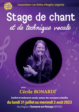 Stage de chant et technique vocale autour des musiques actuelles dans le cadre du Festival 