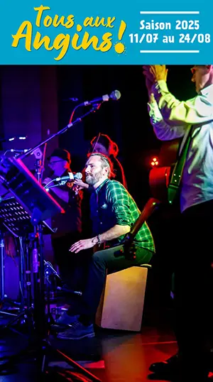 Musique avec : Tin Galway (Trad. Irlandais) dans le cadre du Festival