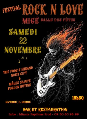 Festival Rock'n'Love à Migé avec Mâles Saints, "L" Rock français, Noisy Gift et The Fool's Errand