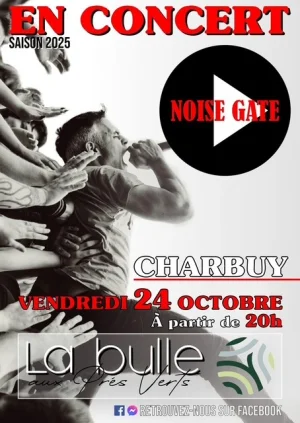 Concert avec Noise Gate (reprises rock français et anglo-saxon)
