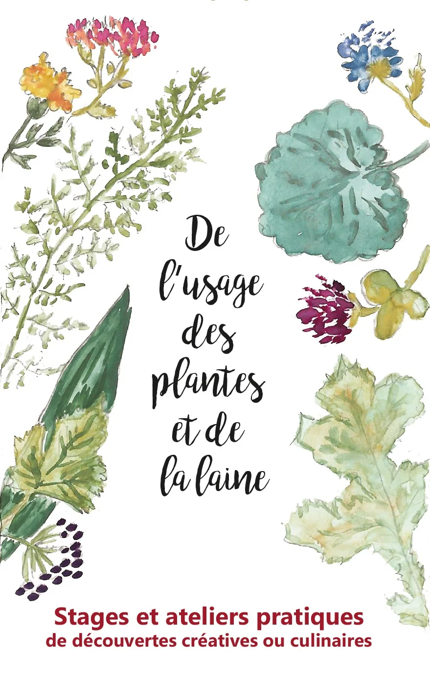 Stage plantes sauvages comestibles – Quarré-les-Tombes (Les Lavaults) (affiche de l’événement)