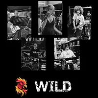 Wild - Musique (Pop / Rock)