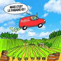 Route des vins de l'Yonne - Itinraire touristique