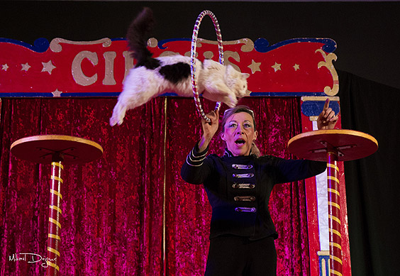 11-cirque-star-Saut-Chat.jpg